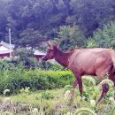 소동농장 이미지