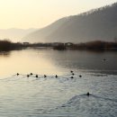 호숫가의아침 이미지