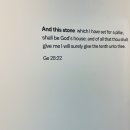 앤디스톤(And this stone)