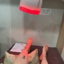 원동매화한의원 이미지