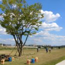 파크골프장 이미지