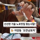 오천냥 포차 이미지