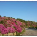 종점민박 이미지