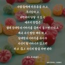 삶의 힘이 되는 인생 명언 펌글 이미지