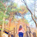 쌍봉산 근린공원 이미지