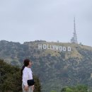 LA 여행코스 가볼만한곳 3곳 추천할리우드 사인·폴스미스 핑크월·LACMA 어반라이트 LA투어 후기