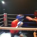 불광복싱클럽 이미지