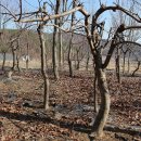 우산농장 이미지