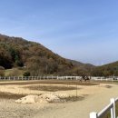 노선목장 이미지