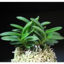 중광농장 이미지