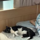 강대희한의원 이미지