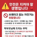 픽시코리아 이미지