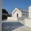 테라머뭄 | 강릉 테라머뭄펜션 직접 다녀온 솔직 후기