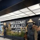 레몬비 곽지해변점 | 제주도 1박2일 관광zero의 여행/자매국수/아베베/곽지해수욕장/마레보비치호텔/바담깨비 방어/스시...