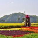 장척호수뷰 이미지