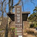 계룡산 | 천정탐방지원센터 출발, 관음봉 정상까지! 계룡산 핵심 코스 후기