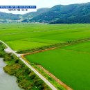 규화농장 이미지