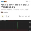 비트코인 &#39;SEC의 현물 ETF 승인&#39; 오보에 급등 후 추락 이미지