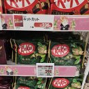 아마존약국 | 요나고 여행 1-5｜이온몰·트라이얼 쇼핑 후기 (면세·현금결제)