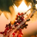 길주로425번길 이미지