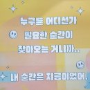 김해서부문화센터 하늬홀 | 김해서부문화센터 하늬홀 _극단 이루마 [가족뮤지컬] 스파클링 개구리