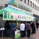횡성군산림조합