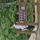 거룩한 마음의 초로 할머님 이미지