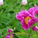 정길농장 이미지