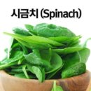 세계슈퍼 이미지