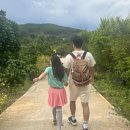 안인농장 이미지