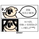 방어축제거리 이미지