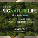 대덕실당 네이버블로그
