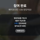 250313 카카오페이 카카오페이손해보험 이미지