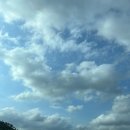 쵸쵸 (미사점) 이미지