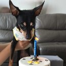 프프프스토어 이미지