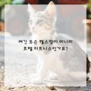 운동의 발견 이미지