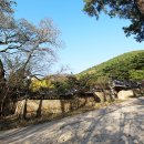 이언적의 옥산서원 가을풍경 이미지