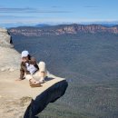 기린약국 | 투어 (링컨스락, 세자매봉, 시드니 동물원), 시드니 파이브 가이즈, Chemist Warehouse 영양제 구입(약국)