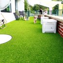 멍스타애견 이미지