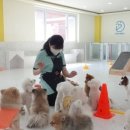 삼산유치원