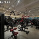 머슬프로짐 이미지