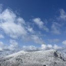 일루장어 | 3월에서 6월까지