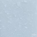 신양약국 이미지