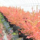 제이농장 이미지