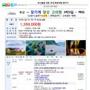 패키지 여행사