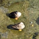 양덕동382 이미지