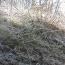 도계서원(道溪書院) | 전라도정자詩로 만난 인물(1020)-김지수(金地粹)