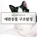 동물보육원평택지부