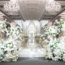 더 화이트벨리 이미지