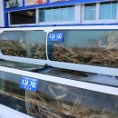 하저해수욕장(도로변) 이미지